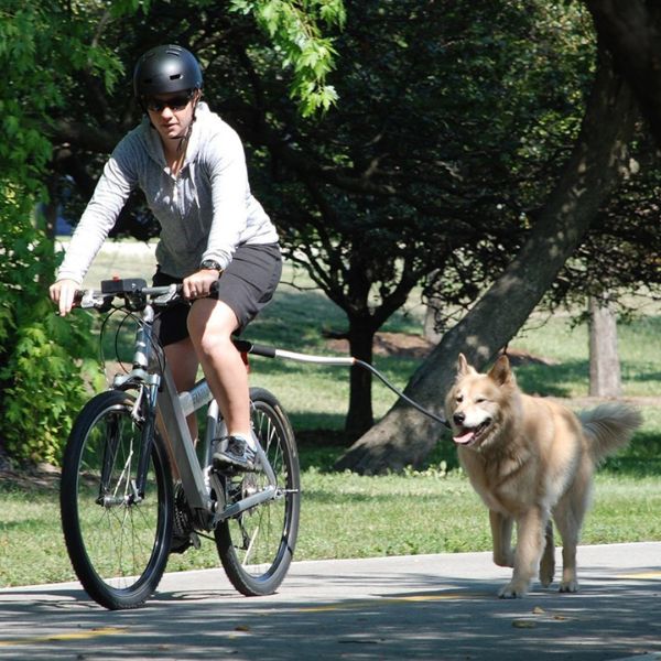 Hundcykelsele