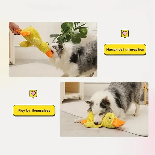 Lugnande Anka Hundleksak