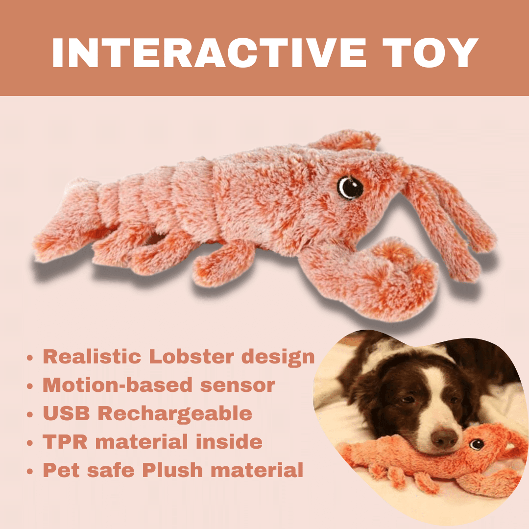 Floppy Lobster Interaktiv Hundleksak
