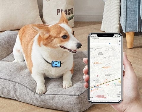 GPS Tracker för Hundar | Platskrage