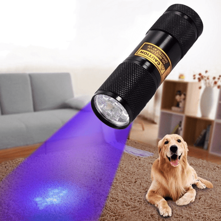 Kraftfull 21 LED fick UV-lampa