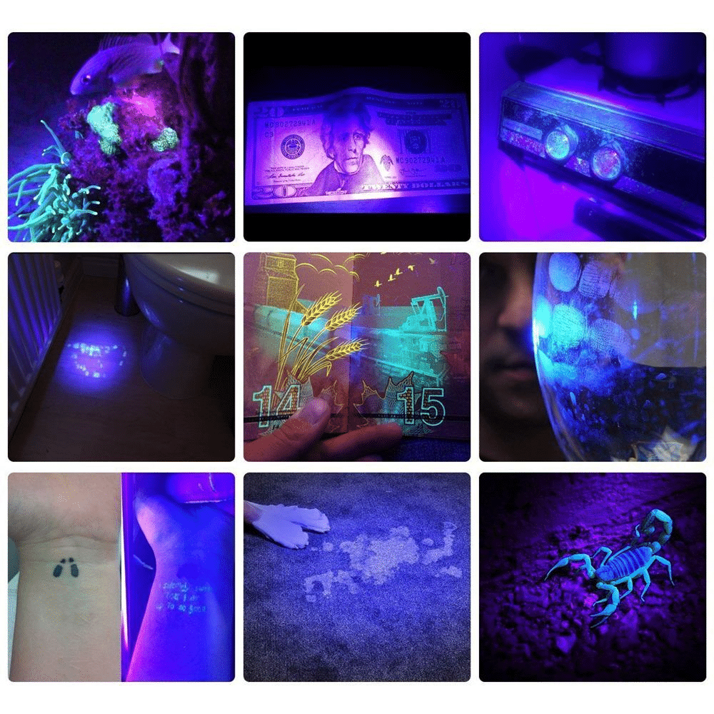 Kraftfull 21 LED fick UV-lampa