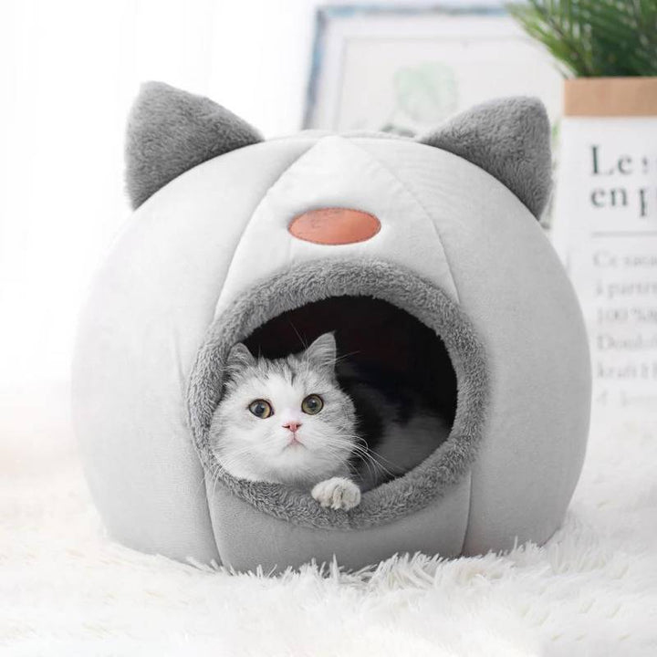 Kattgrotta