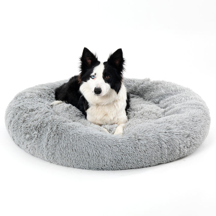 Hund ligger i fluffig rund bädd
