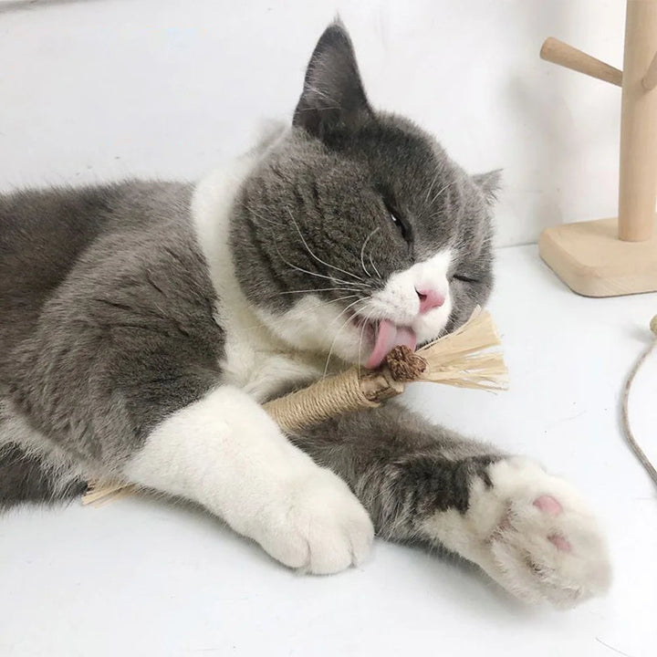 Naturlig Silvervine Katt Tuggleksak