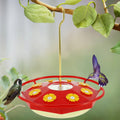 Blomformad Kolibri Matare