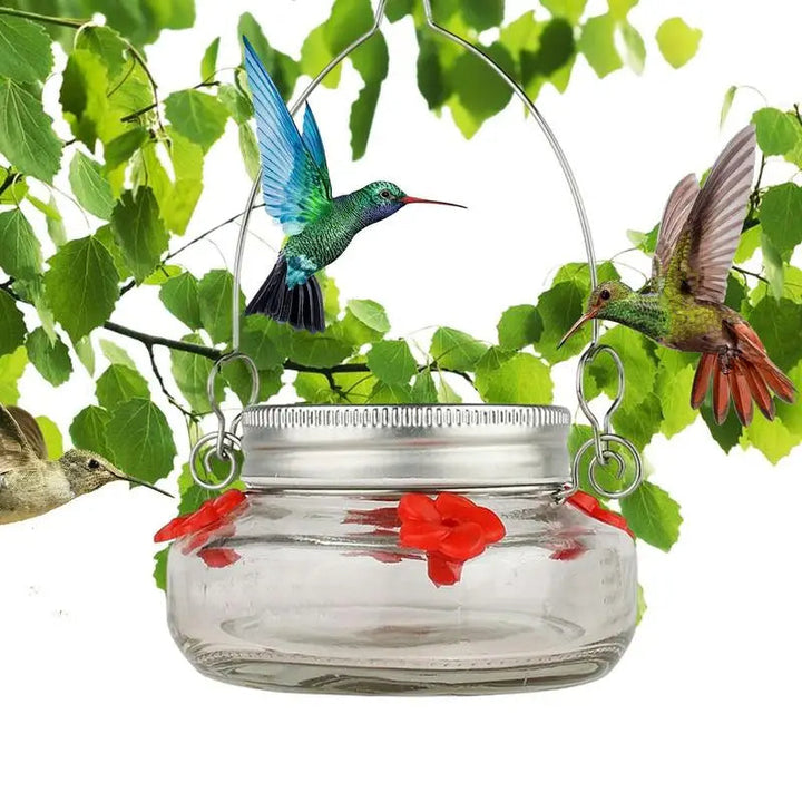 Klar Blomport Kolibri Matare