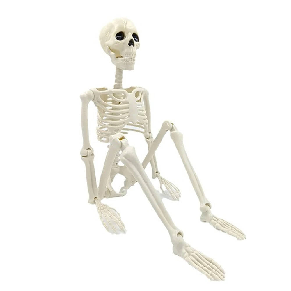 Mänskliga Skelett Halloween Dekorationer Utomhus