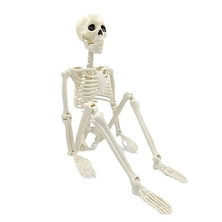 Mänskliga Skelett Halloween Dekorationer Utomhus