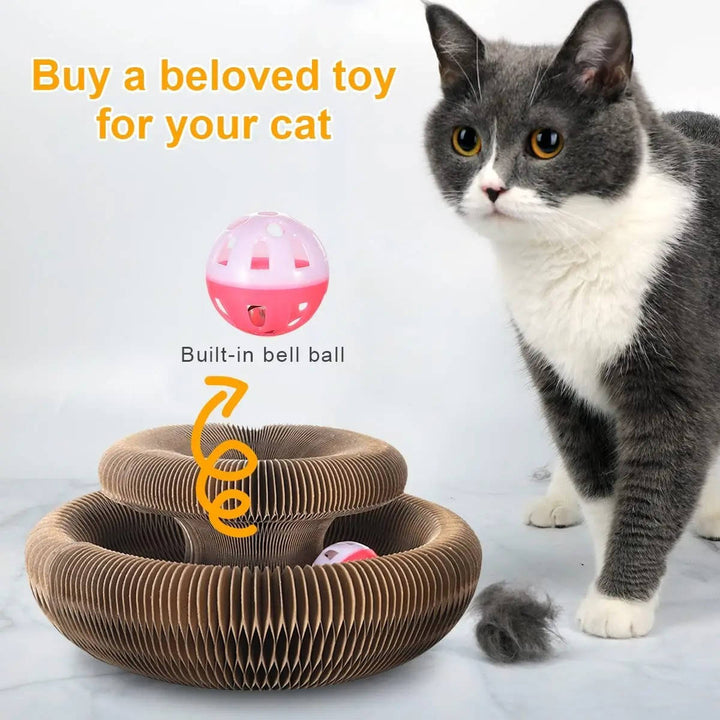Kattklöspelare med Bollbana