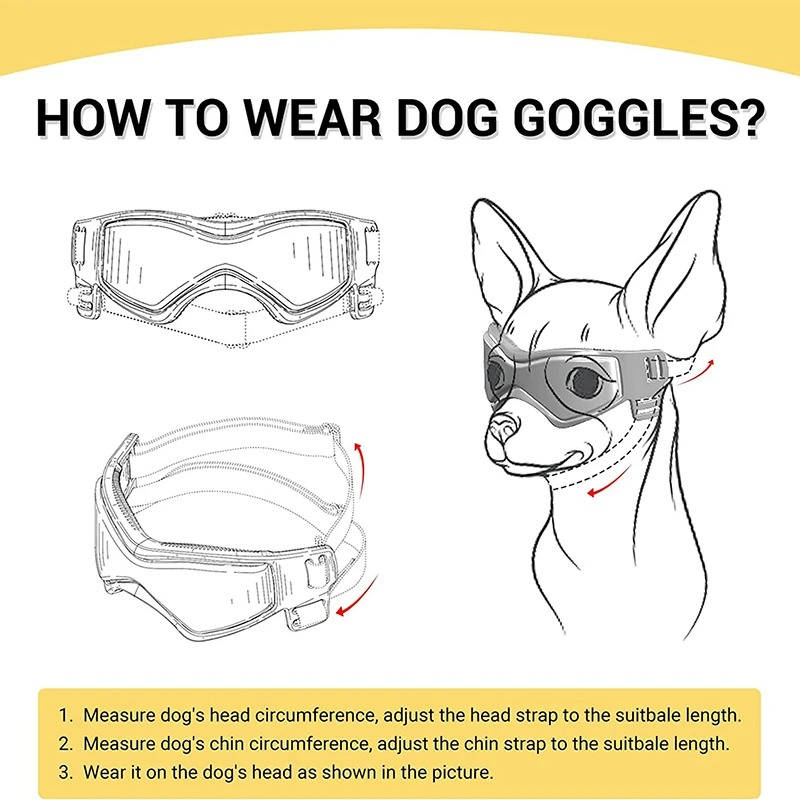 Hundglasögon