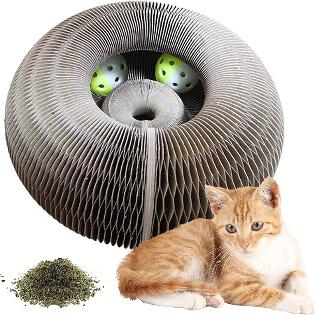 Kattklöspelare med Bollbana