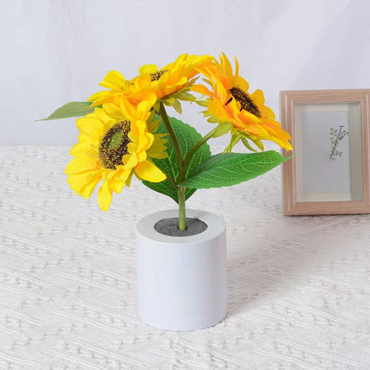 Solroslampa