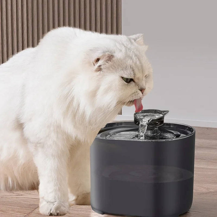 Kattens Vattenfontän