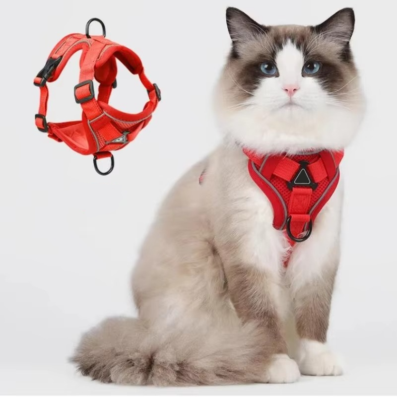 Reflekterande Kattsele och Koppelset