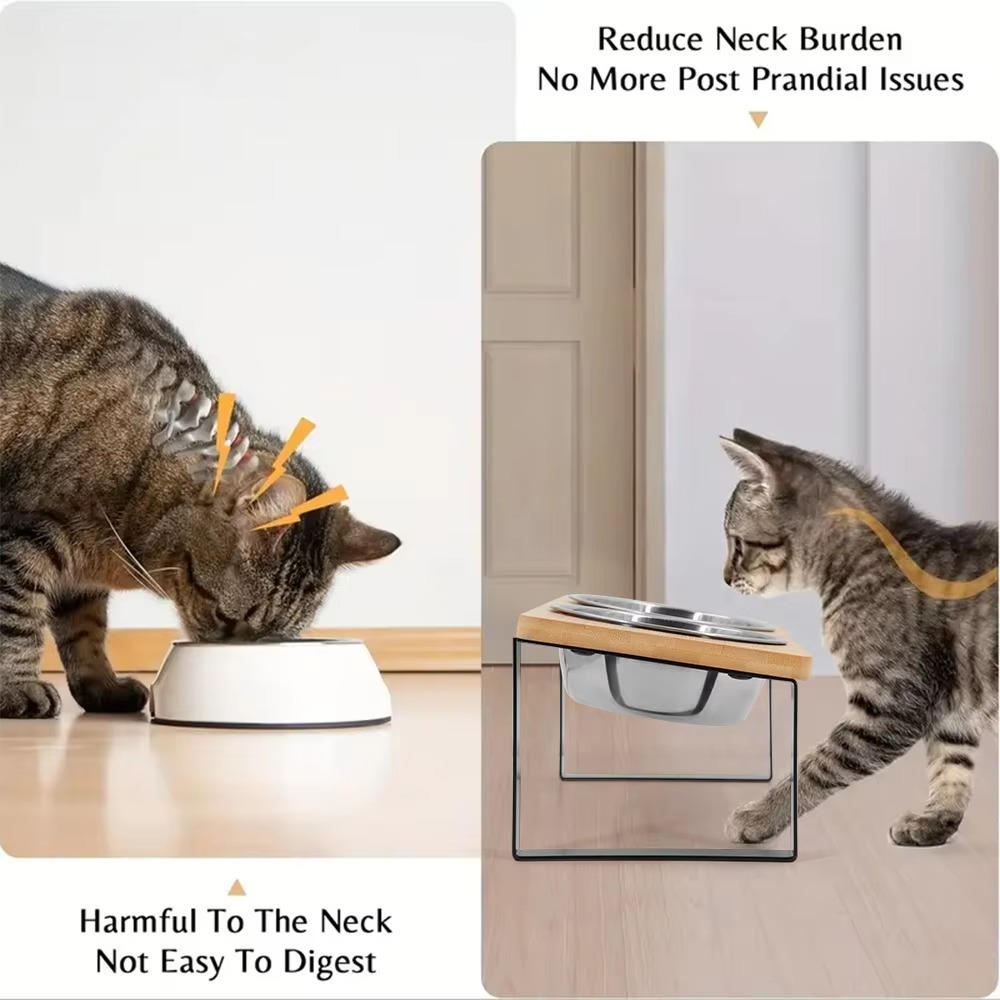 Höjd kattmatsskål