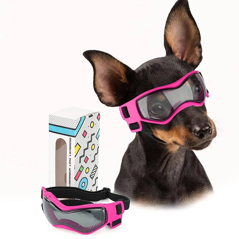 Hundglasögon