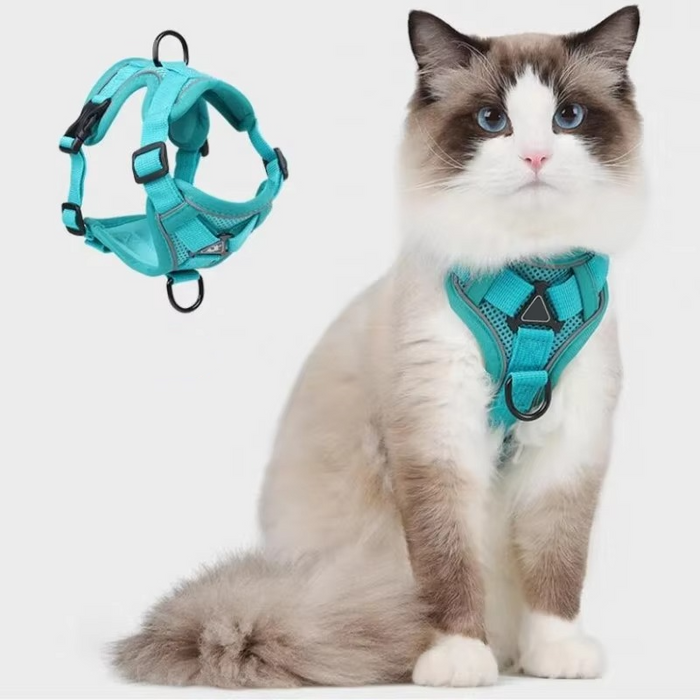 Reflekterande Kattsele och Koppelset