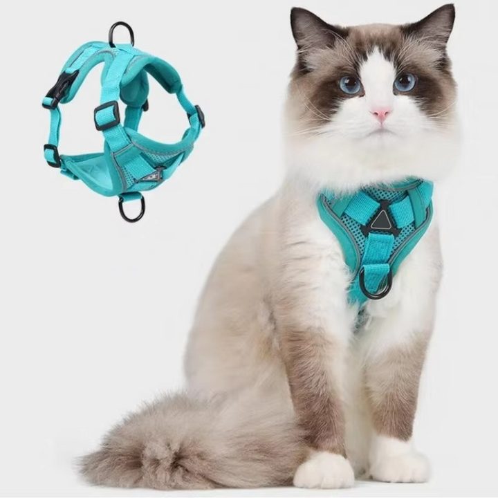 Reflekterande Kattsele och Koppelset