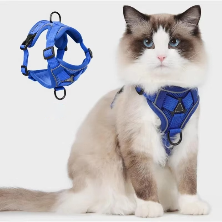 Reflekterande Kattsele och Koppelset