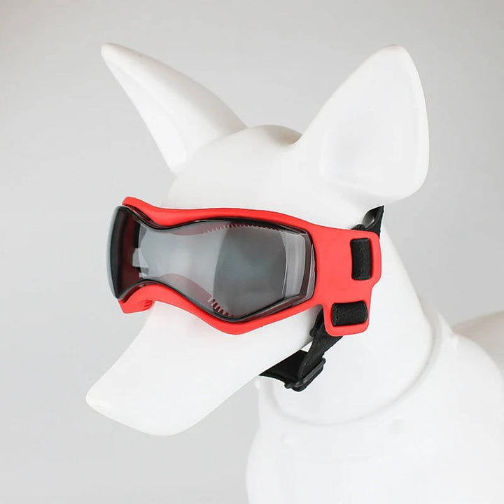 Hundglasögon