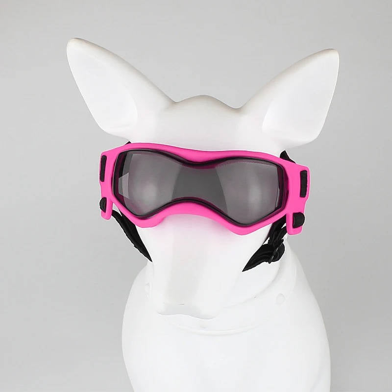 Hundglasögon