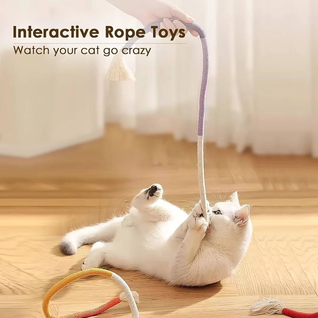 Katt Tuggtillbehör
