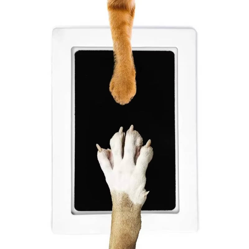 Hundtrampavtryckskit