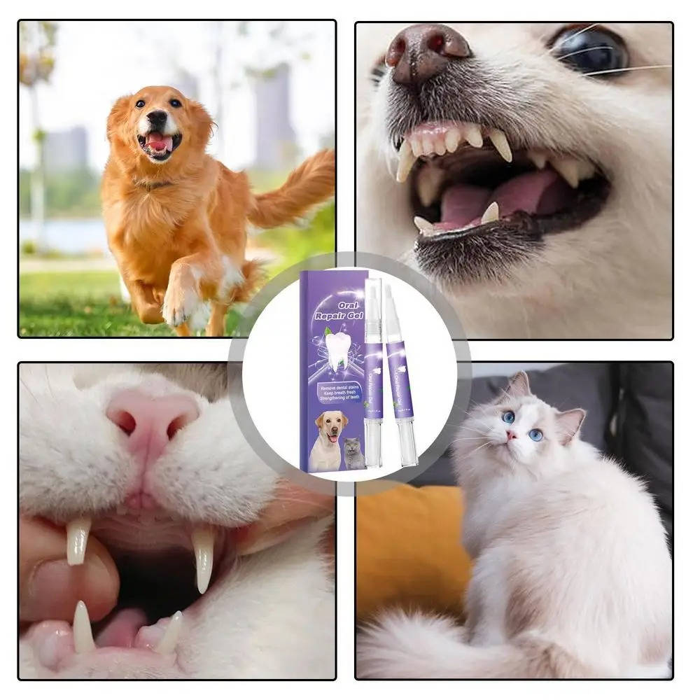 3 Set Hundens Muntliga Reparationsgel