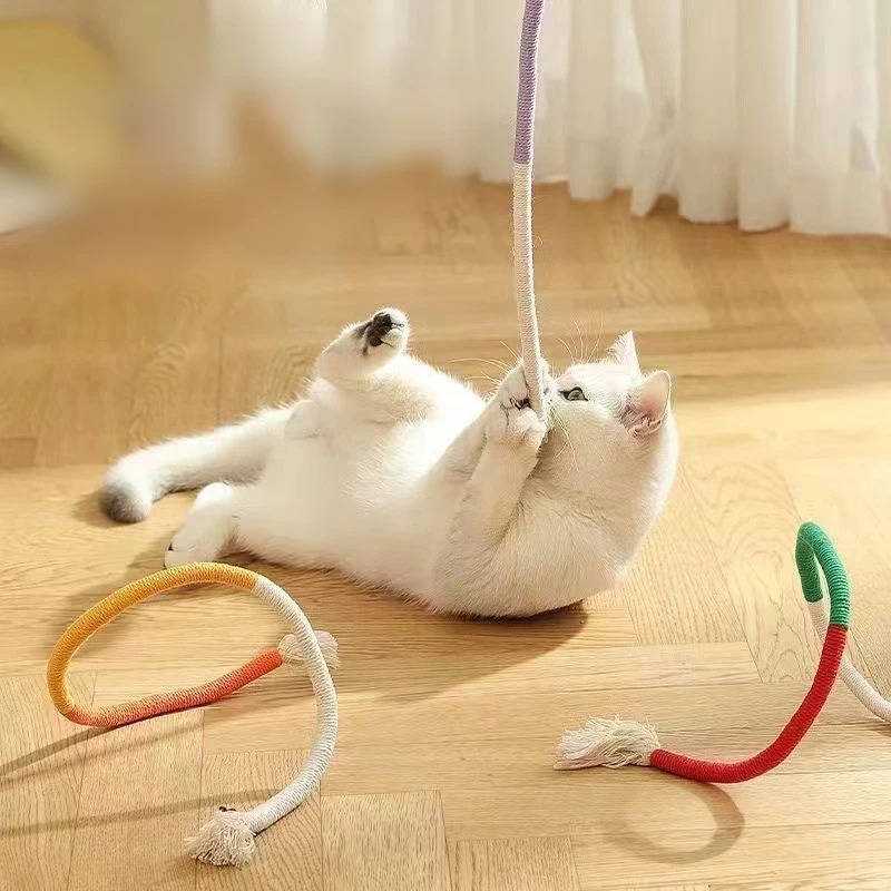 Katt Tuggtillbehör