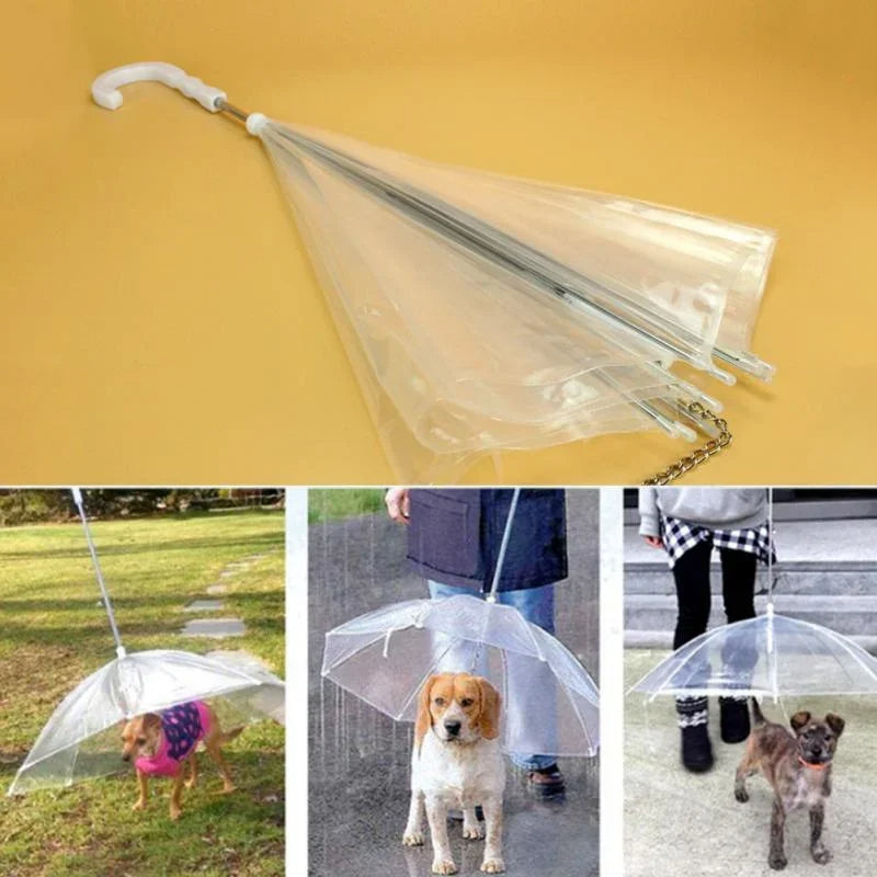 Hundparaply med koppel