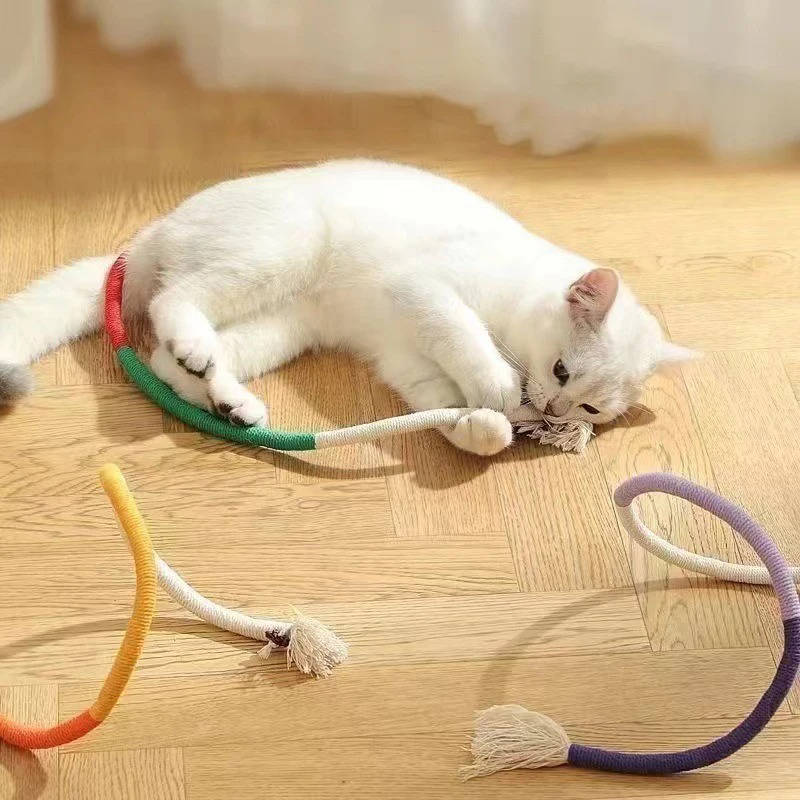 Katt Tuggtillbehör
