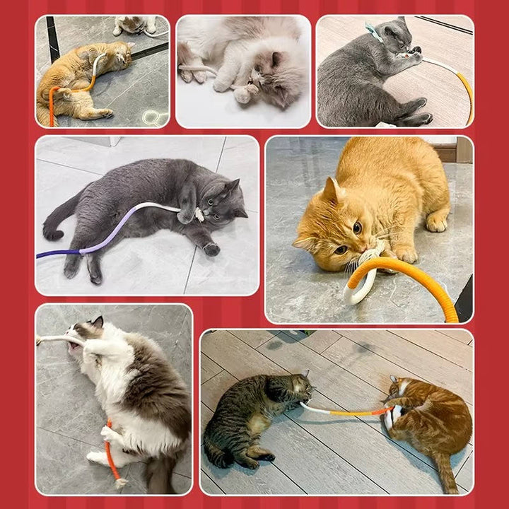 Katt Tuggtillbehör