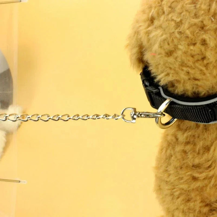 Hundparaply med koppel