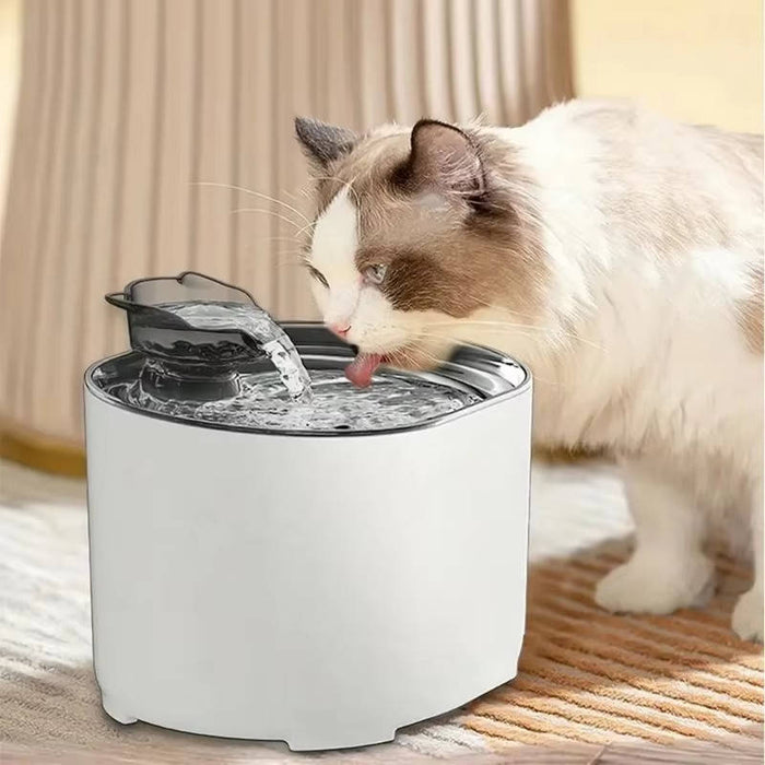 Kattens Vattenfontän