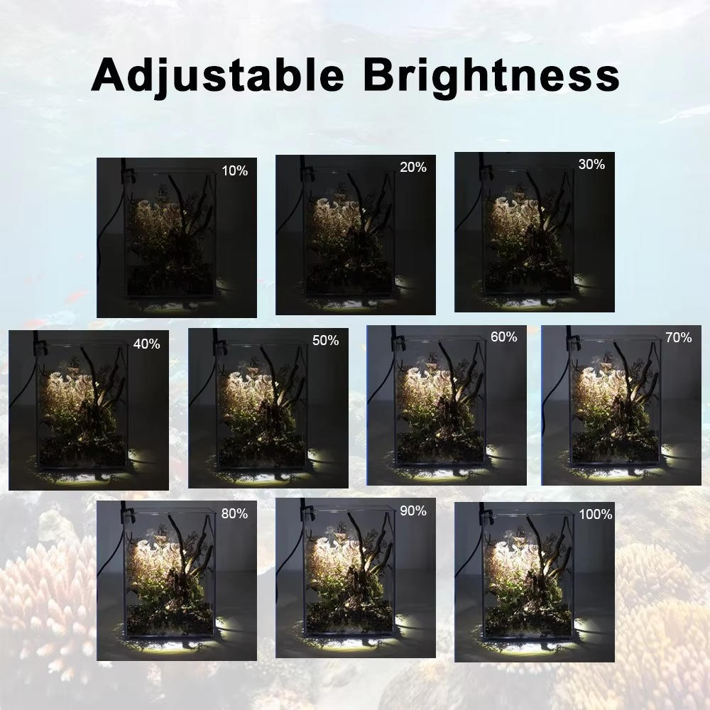 LED-lampa för akvarium