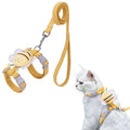 Katt Halsband Och Sele