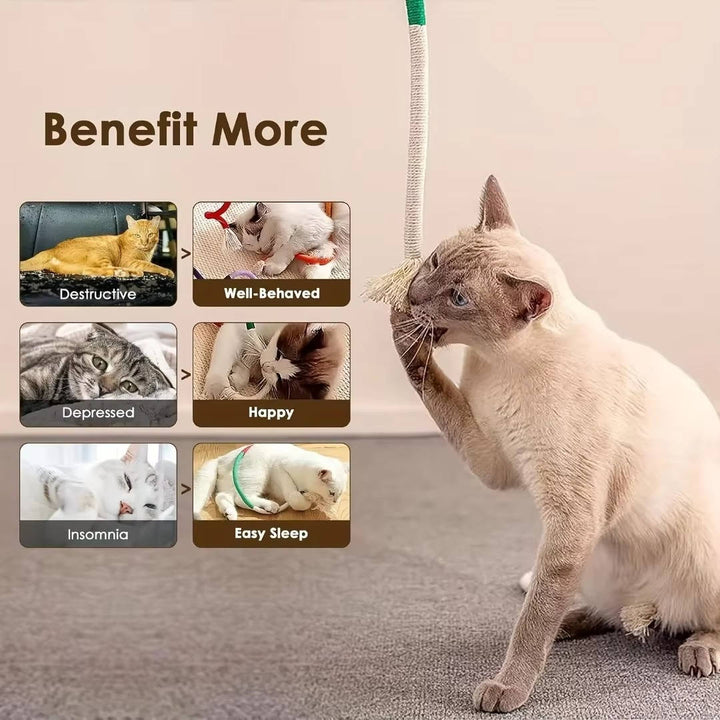 Katt Tuggtillbehör