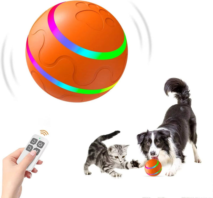 Interaktiv Hundboll Lek