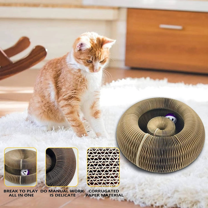 Kattklöspelare med Bollbana