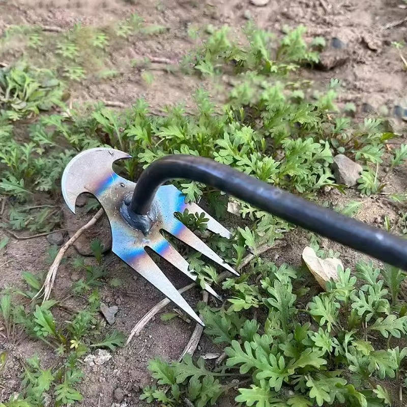 Ogräsverktyg Avlägsnare