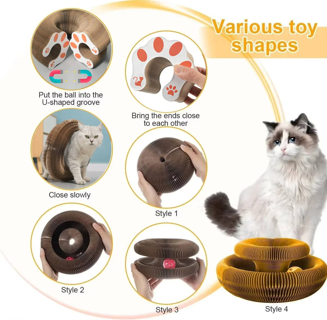 Kattklöspelare med Bollbana