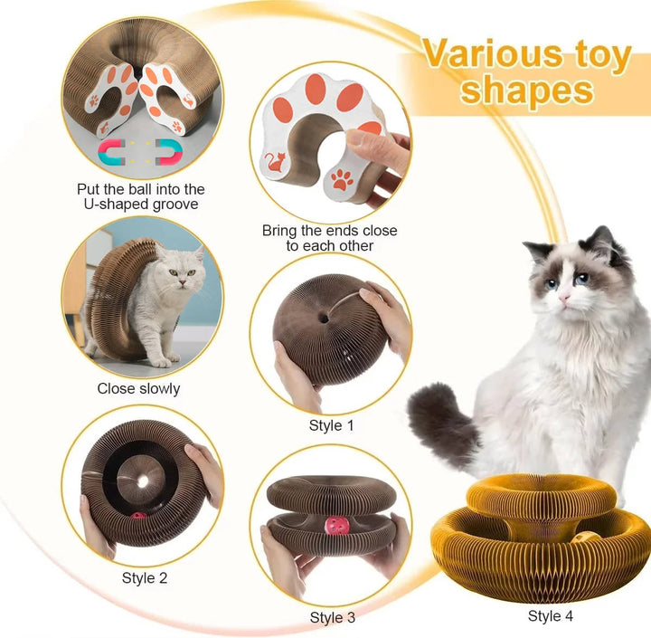 Kattklöspelare med Bollbana