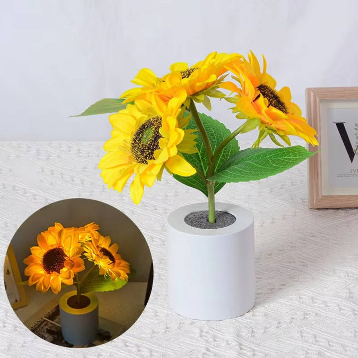 Solroslampa