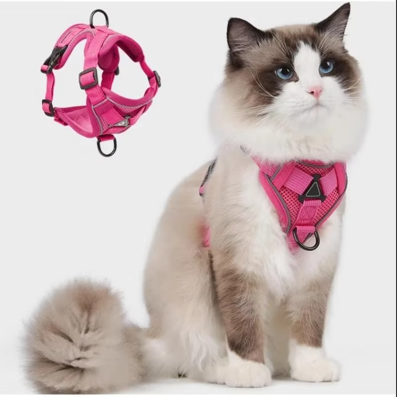 Reflekterande Kattsele och Koppelset