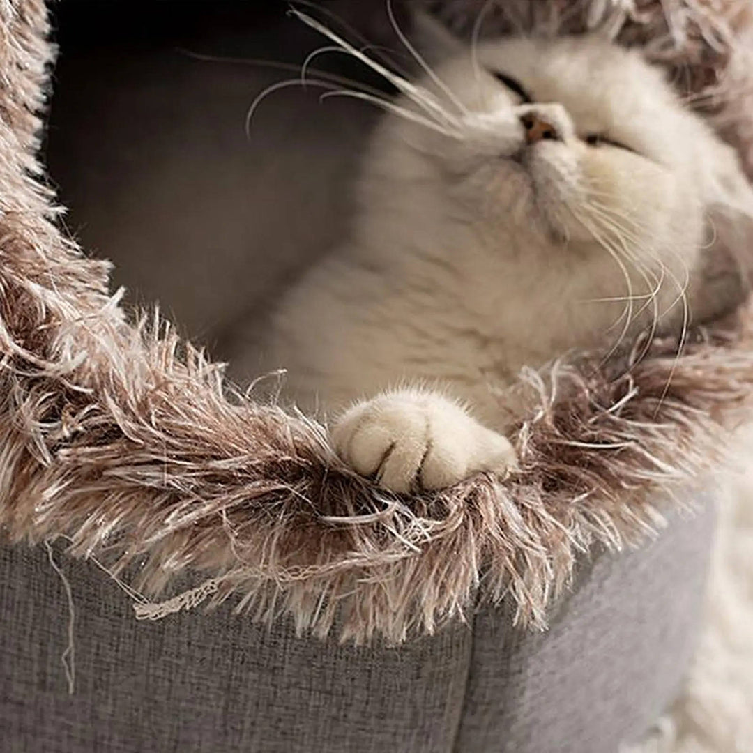Vinter Kattbädd