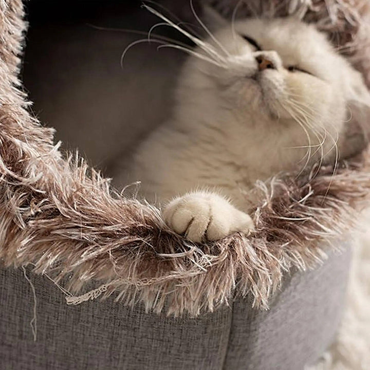 Vinter Kattbädd