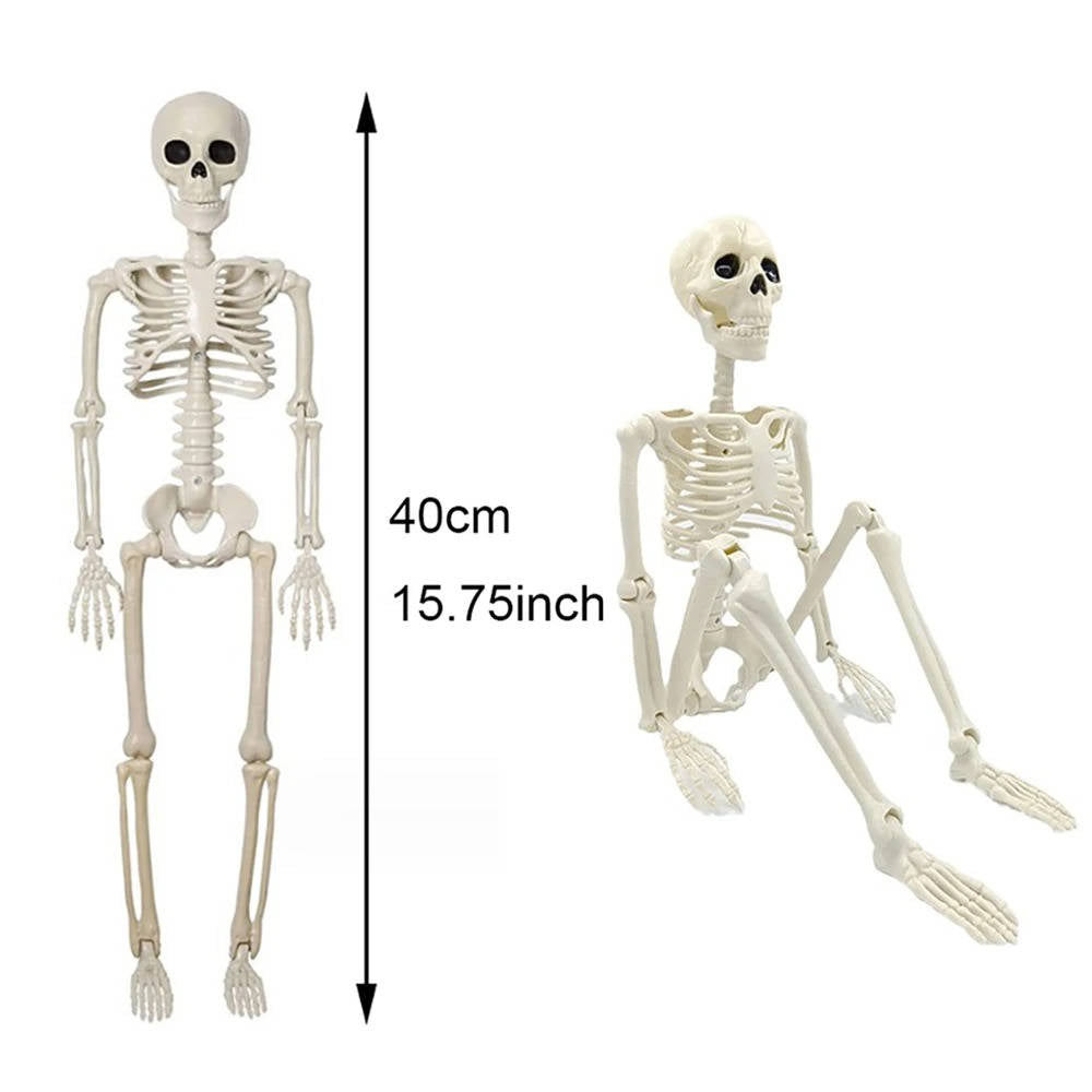 Mänskliga Skelett Halloween Dekorationer Utomhus