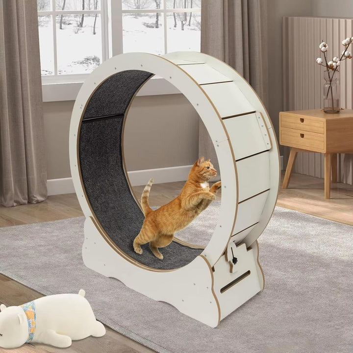 Kattträningshjul