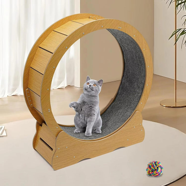 Kattträningshjul